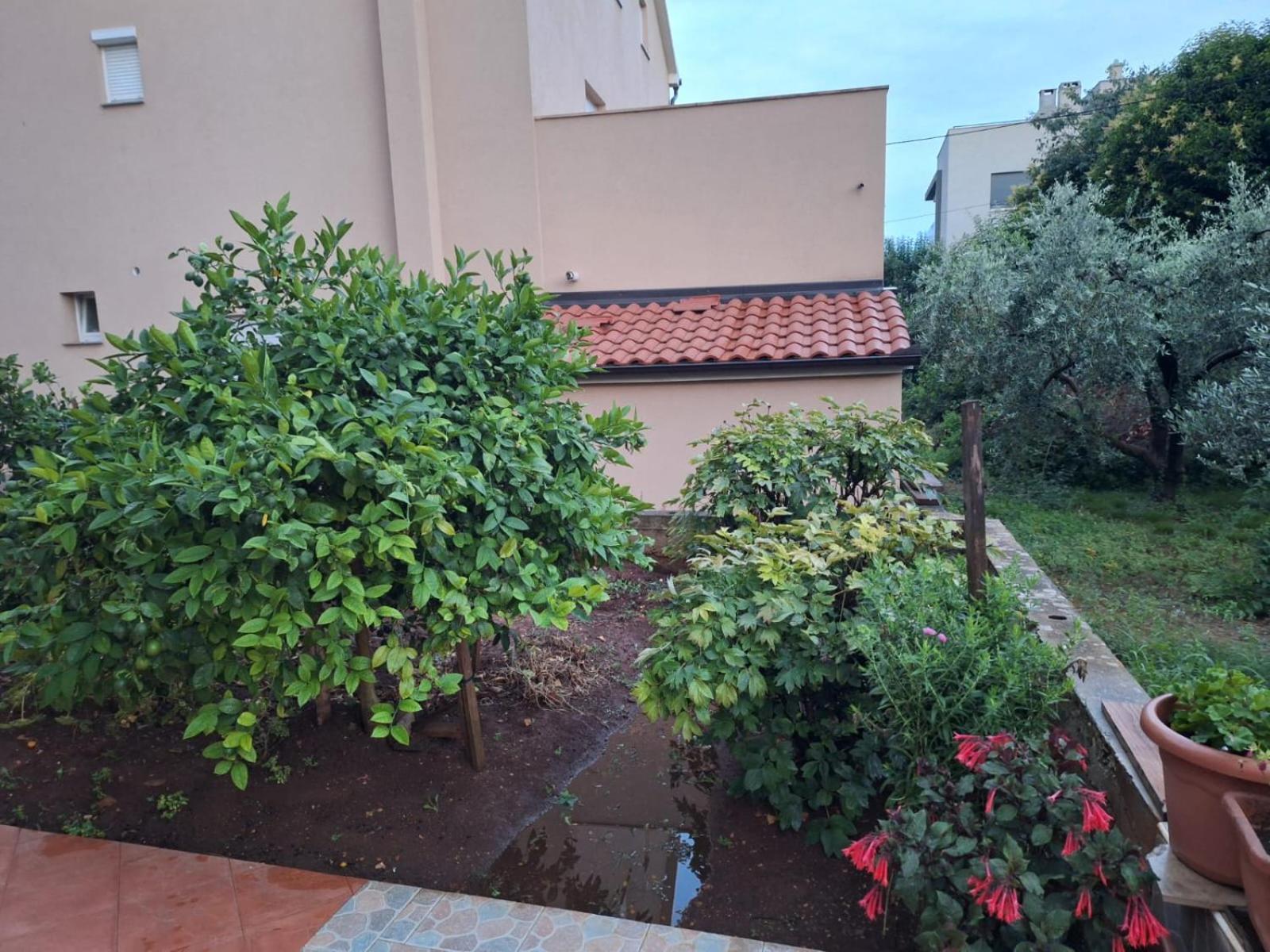 Hana Apartments Zadar Eksteriør billede